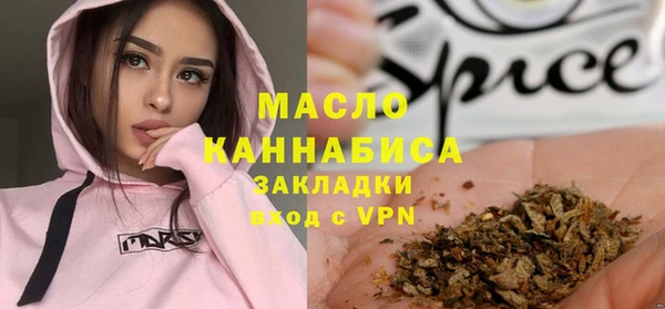 гидра Верхний Тагил