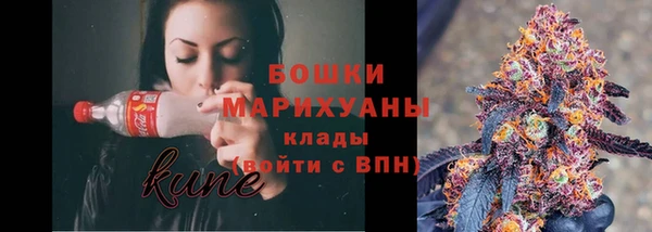 гидра Верхний Тагил