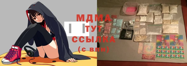 гидра Снежногорск