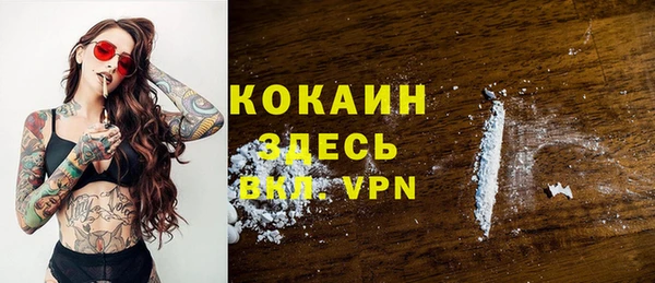 прущие грибы Верея