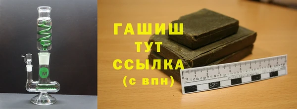 гидра Верхний Тагил
