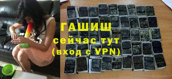 прущие грибы Верея