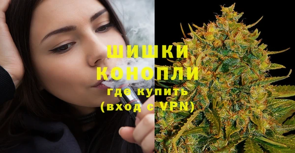 прущие грибы Верея