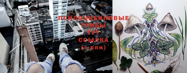 ПСИЛОЦИБИНОВЫЕ ГРИБЫ Верхнеуральск