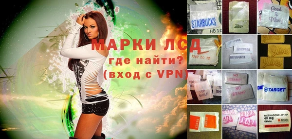 прущие грибы Верея
