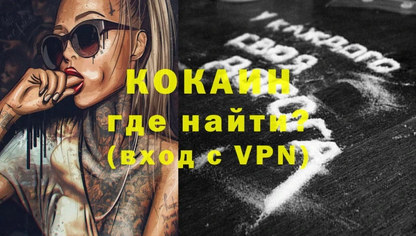 гидра Верхний Тагил