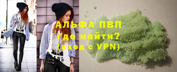 прущие грибы Верея